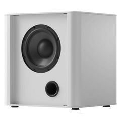  Loa Sub Piega PS 101 