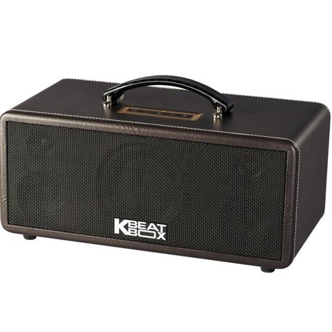 Loa Acnos Ks361s