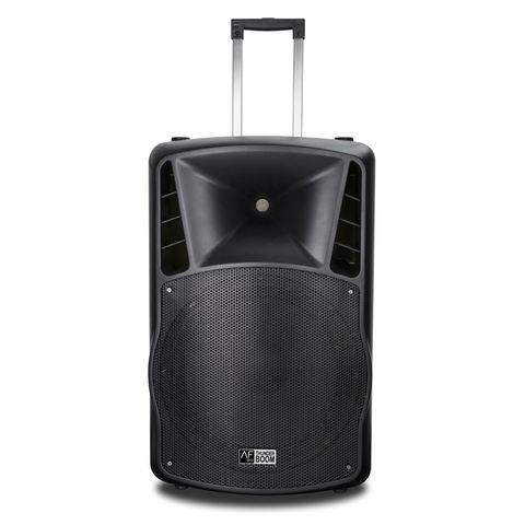 Loa Audiofrog Pro P15