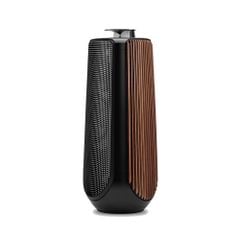  Loa B&o Beolab 50 Black 