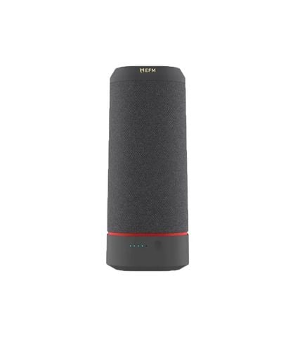Loa Bluetooth Efm Havana