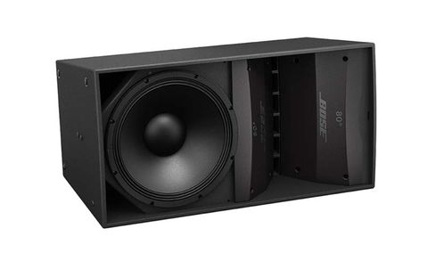 Loa Bose Arenamatch Am10/100