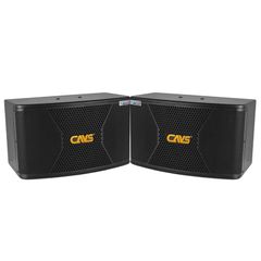  Loa Cavs Cx10, Bass 25cm, 250w 
