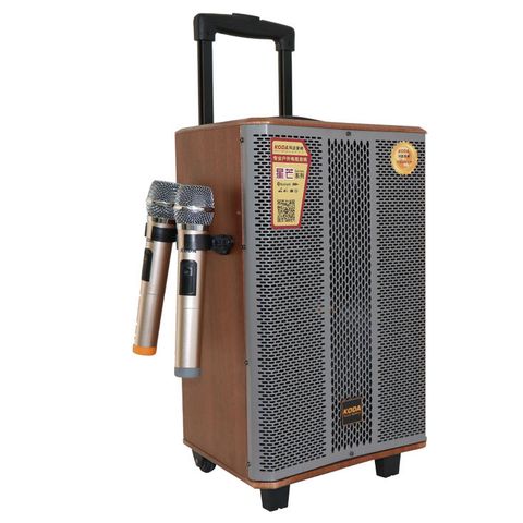 Loa Karaoke Di Động Kd1005
