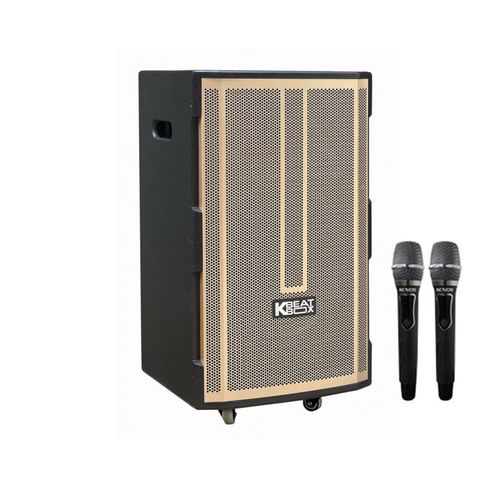 Loa Kéo Acnos Cb392g