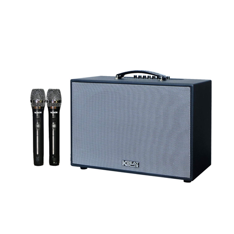 Loa Kéo Acnos Cs2501pu