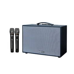  Loa Kéo Acnos Cs2501pu 