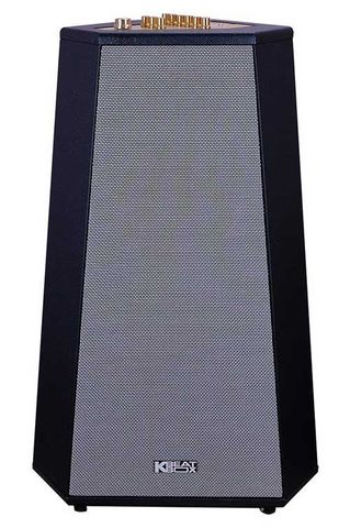 Loa Kéo Acnos Cs500