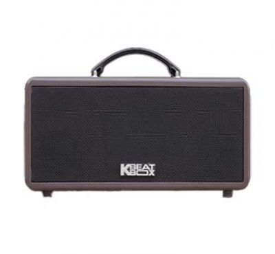 Loa Kéo Acnos Ks362s