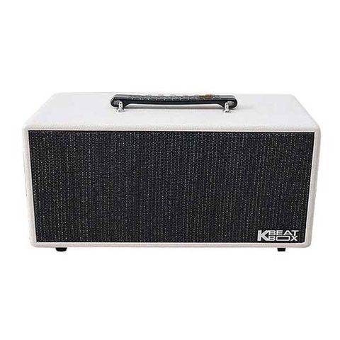 Loa Kéo Acnos Ks363h