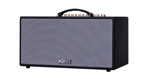 Loa Kéo Acnos Nl446r