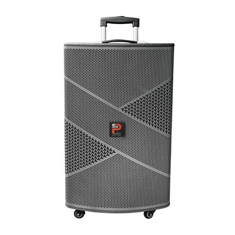 Loa Kéo Di Động Prosing W12 Infinity