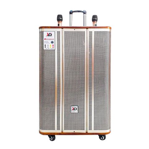 Loa kéo di động Ruby R18A8