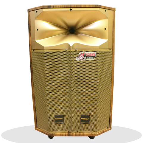 Loa Kẹo Kéo Temeisheng Qx 15-18