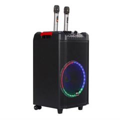  Loa Kéo Kiwi Xt12 