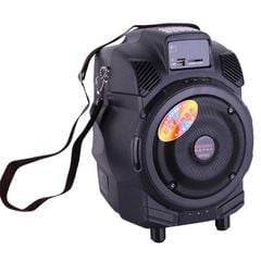  Loa Kéo Temeisheng Q6f 
