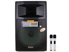  Loa Kéo Temeisheng Sl 15-04 