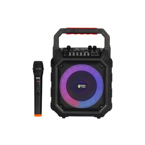 Loa Kiwi Xt6.5
