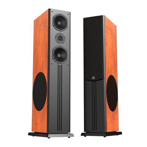 Loa Paramax D88 Limited