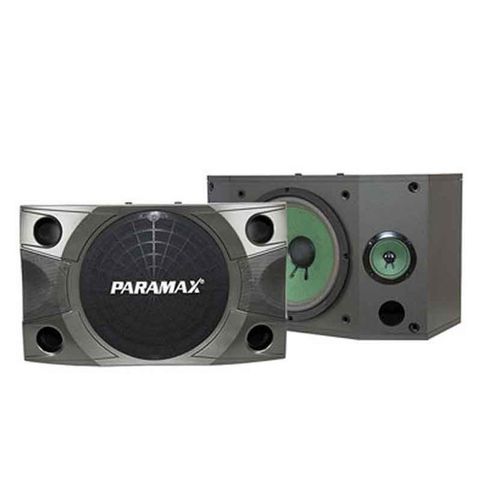Loa Paramax P850