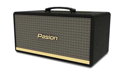 Loa Paramax Pasion 2