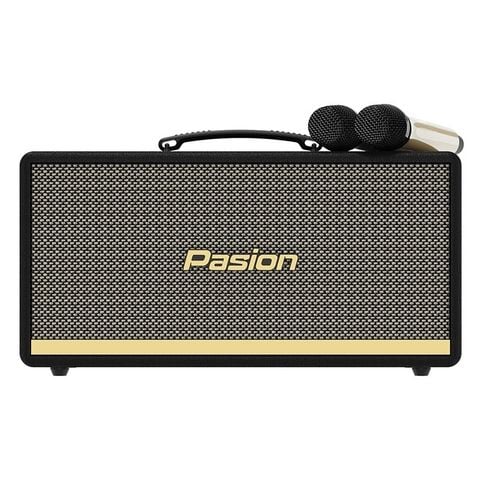 Loa Paramax Pasion 2, Công Suất 100w
