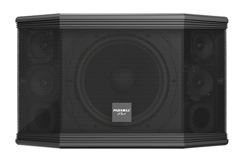 Loa Paramax Pro-c10