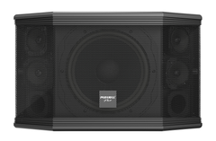  Loa Paramax Pro-c10 