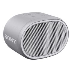  Loa Sony Srs-xb01 - Gray 