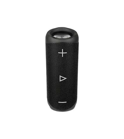 Loa Tiệc Bluetooth Di Động Blueant X2