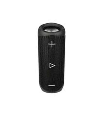  Loa Tiệc Bluetooth Di Động Blueant X2 