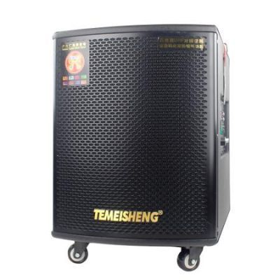 Loa Vali Kéo Temeisheng Gd 15-03 Công Suất Khủng
