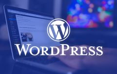  Cơ sở dữ liệu đám mây làm lộ hơn 800 triệu hồ sơ người dùng WordPress 