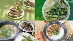  Cá chạch làm gì ngon? Tổng hợp 13 món ngon từ cá chạch cho gia đình 