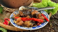  Cách làm cá trê kho tộ siêu cay đậm đà đưa cơm cho cả nhà 