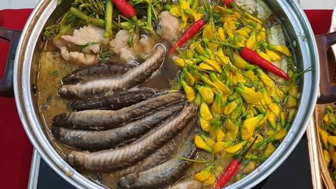 Cách nấu lẩu mắm cá kèo dân dã thơm ngon đậm đà không tanh đơn giản