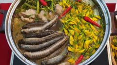  Cách nấu lẩu mắm cá kèo dân dã thơm ngon đậm đà không tanh đơn giản 