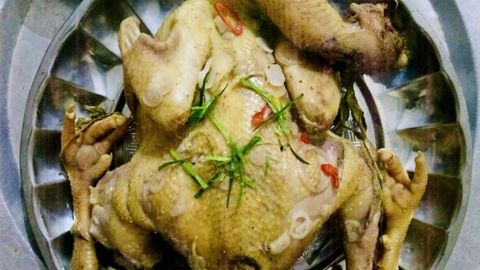 Cách làm gà hấp muối hột vàng thơm, ngon khó cưỡng tại nhà