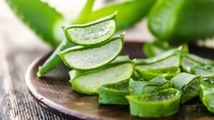  Tổng hợp những cách bảo quản nha đam tươi được lâu đơn giản nhất 