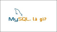  MySQL là gì? Ưu nhược điểm và tầm quan trọng của MySQL 