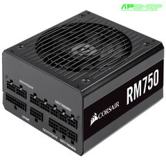  Nguồn Corsair RM750 2019 - Full Modul - 80 Plus Gold 