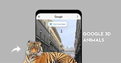 Không thể dùng Google 3D Animals: Nguyên nhân và cách khắc phục