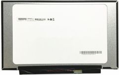 Màn Hình Laptop HP Mini 110-3100Er