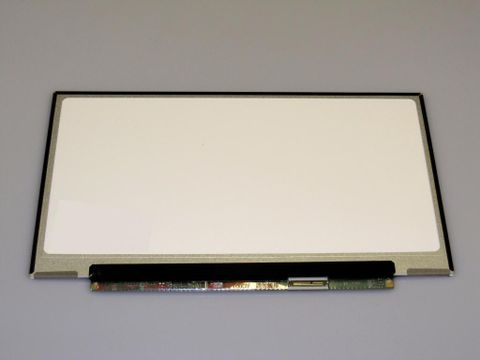Màn Hình Laptop Samsung NP300V4Z