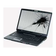 Màn Hình Laptop Toshiba PORTEGE Z30T
