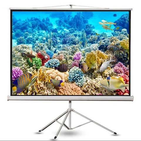 Màn Chiếu Đứng Dalite 3 Chân 120 Inch