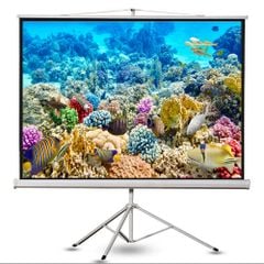  Màn Chiếu Đứng Dalite 3 Chân 120 Inch 
