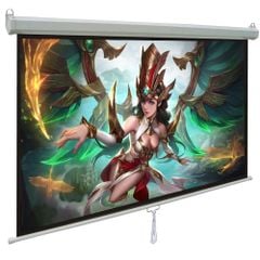  Màn Chiếu Treo Tường Dalite 135 Inch 