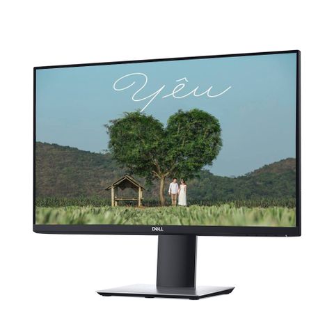 Màn Hình Dell 23 Inch P2319h