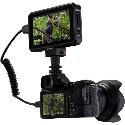 Màn Hình Ghi Hình Atomos Shinobi Hdmi